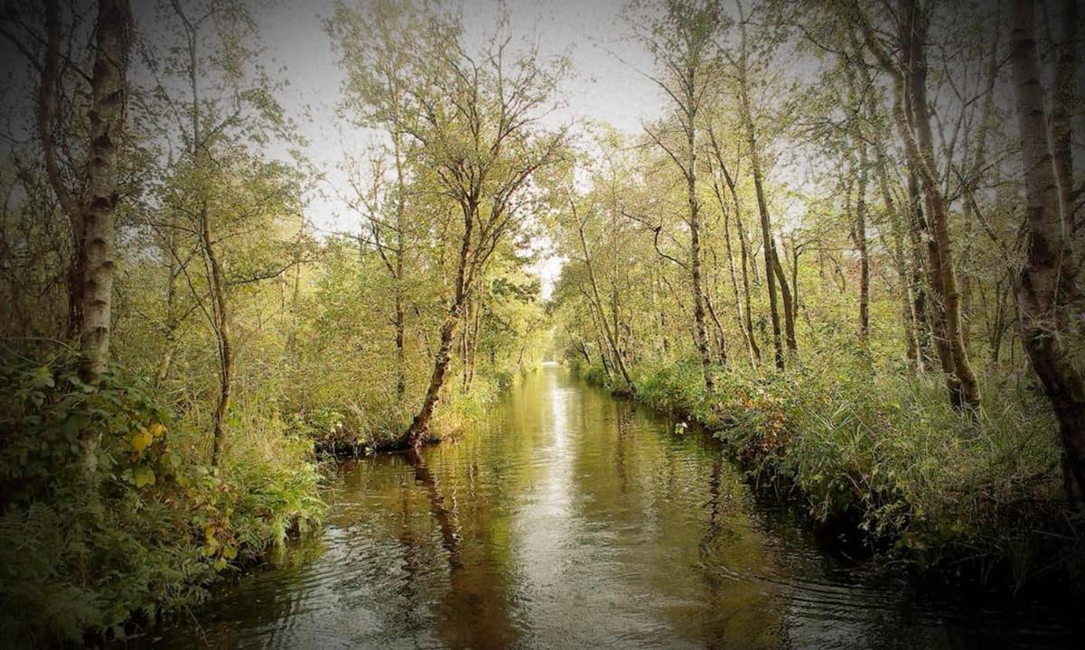 Natuur Lodge Blesdijke Екстериор снимка